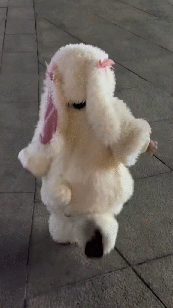Fluffy Animal-Themed Kids' Costumes 🐰🦈🦕 – Bunny, Shark & Dino Variants - Photo 2