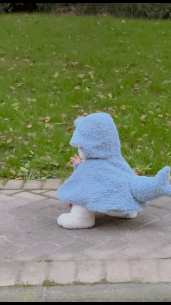 Fluffy Animal-Themed Kids' Costumes 🐰🦈🦕 – Bunny, Shark & Dino Variants - Photo 3