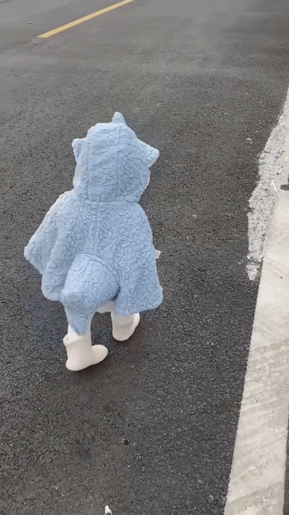 Fluffy Animal-Themed Kids' Costumes 🐰🦈🦕 – Bunny, Shark & Dino Variants - Photo 4