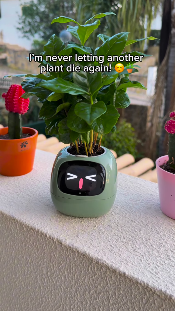 Smart Self-Care Planter – Digital Pot with Built-In Clock, Weather & Plant Health Display - Photo 4